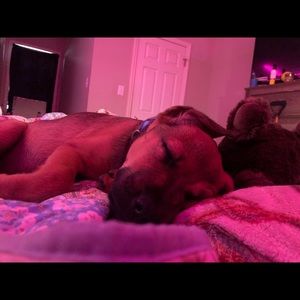 Meet your Posher, Leslie